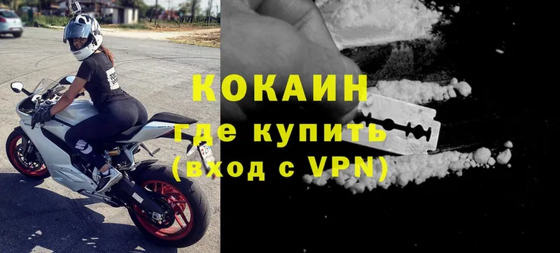 сколько стоит  Правдинск  Cocaine 97% 