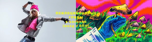 прущие крисы Пестово