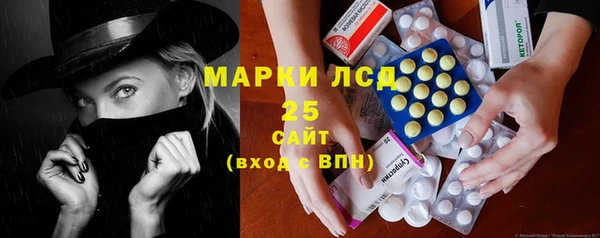 PSILOCYBIN Пересвет