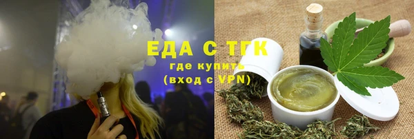 индика Осинники