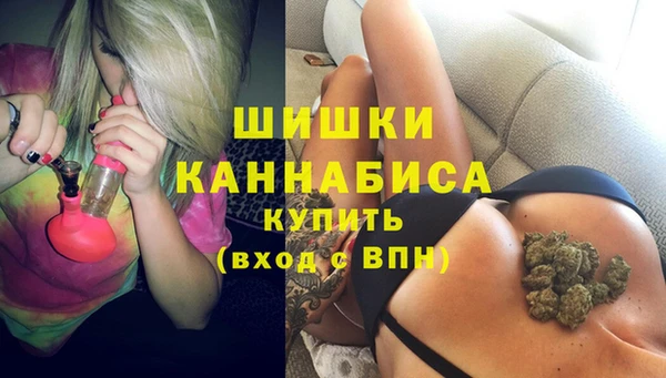PSILOCYBIN Пересвет