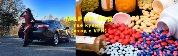 PSILOCYBIN Пересвет